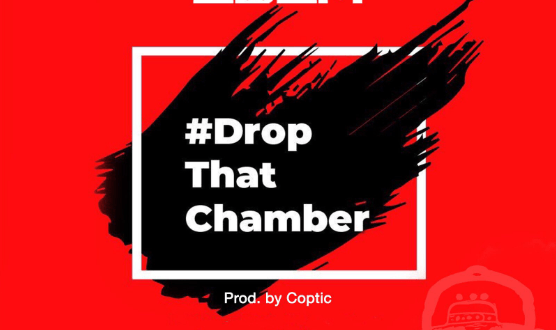 MUSIC MP3 - Edem - Drop That Chamber