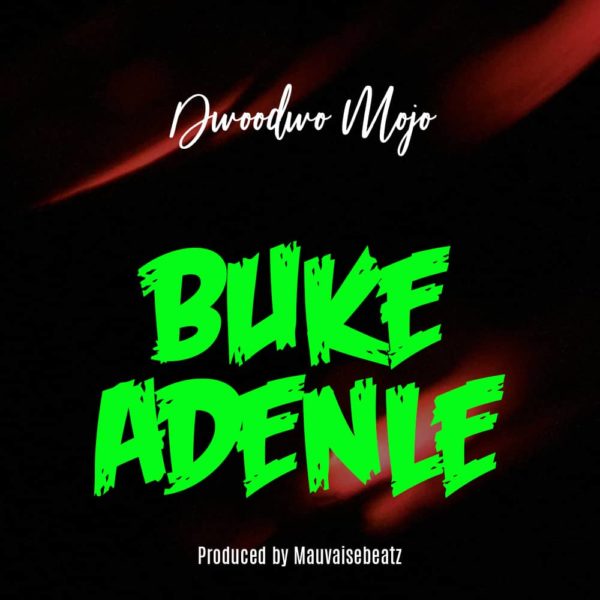 NEXT TO RELEASE - Dwoodwo Mojo - Buke Adenle (Prod. By Mauvaise Beatz)