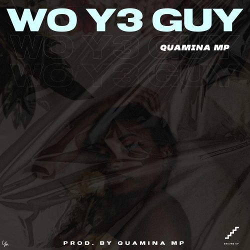 MUSIC MP3 - Quamina MP - Wo Y3 Guy