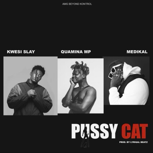 MUSIC MP3 - Kwesi Slay ft. Quamina Mp x Medikal - Pussy Cat (Prod. By Lyrical Beatz)
